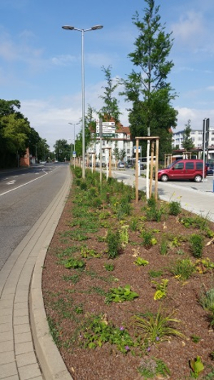 Busbahnhof Sömmerda: Landschaftsbauarbeiten