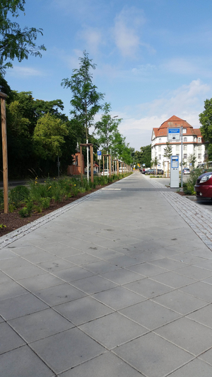 Sömmerda: Busbahnhof Sömmerda Landschaftsbauarbeiten